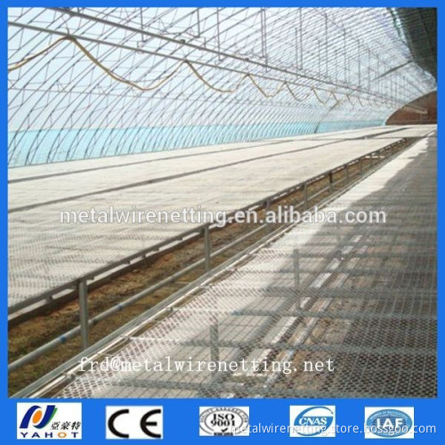 Stainless steel welded wire mesh Seedbed nets with high quality(Manufacture)